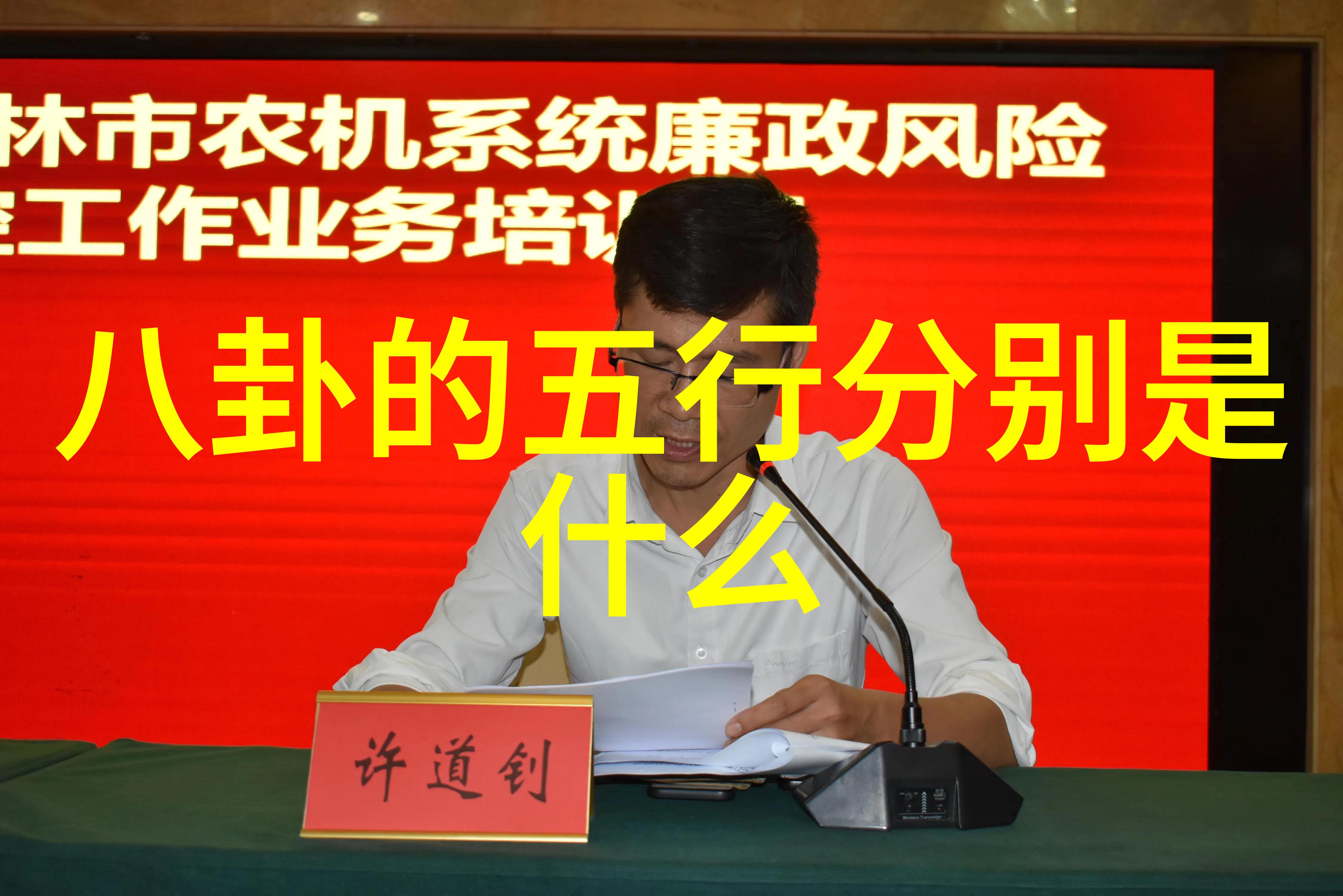 亲密的搭档 电视剧 - 同行与共鸣探索情谊与挑战的故事线