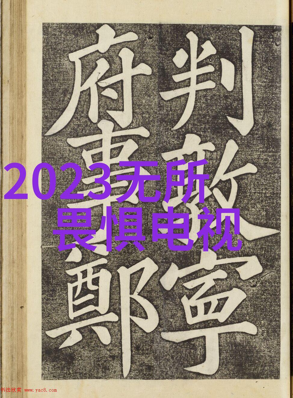 在网络海洋中寻宝哪些是真正提供高质量免费音乐的神秘岛屿