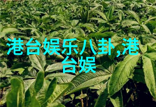 娱乐界轰动明星私生活大揭秘网红新贵夺影视焦点