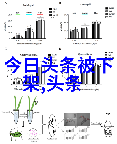 星辰之谜八卦秘密与五行天籁