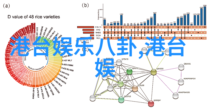 绽放时光的彩妆舞台