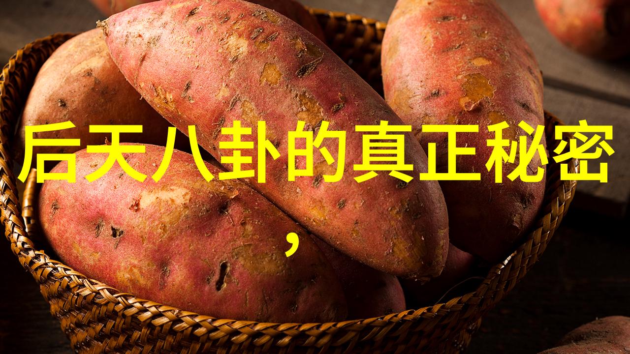 栀子花开2017 电视剧我眼中的青春风华