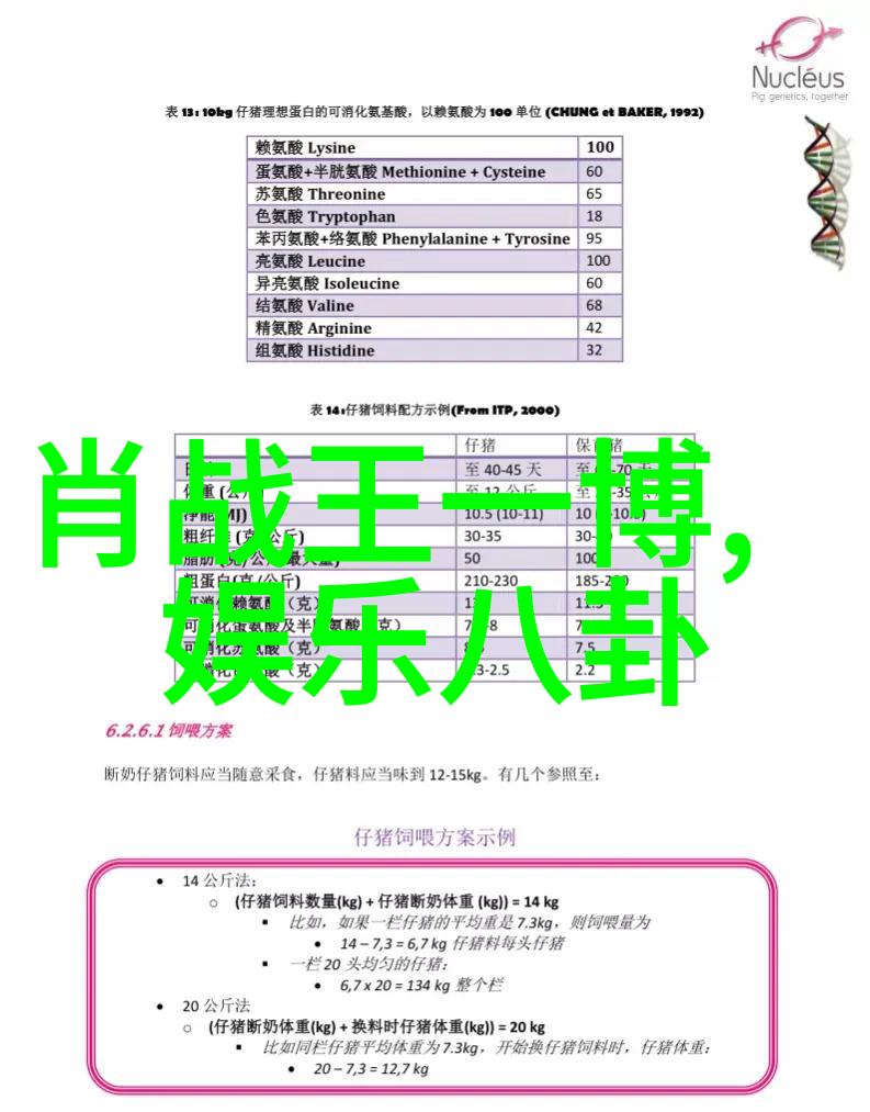 十级地震巨震撼动大地生灵涂炭记忆