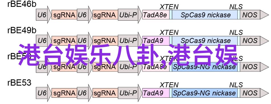 八卦韵律四象之歌