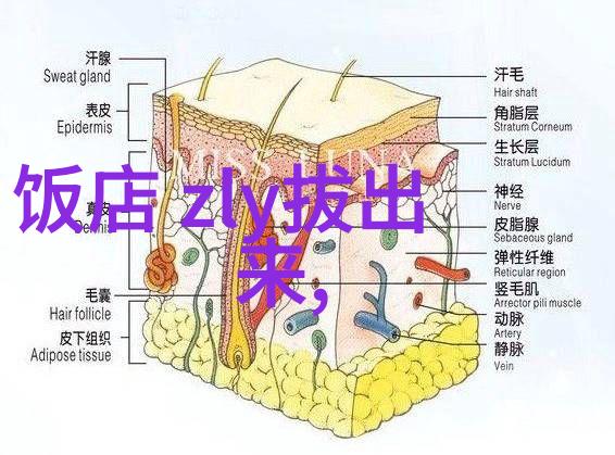 韩国流行综艺节目精彩瞬间KBS2的不朽之城