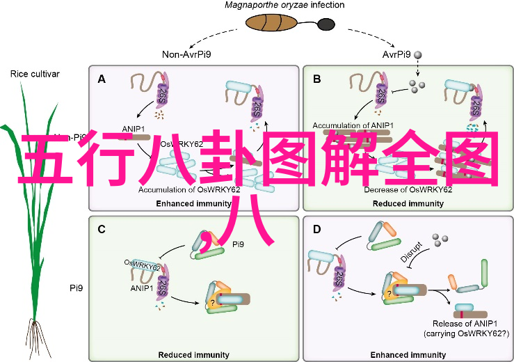 为什么要等到最好的我们这样的盛夏电影在上映之前我们就不能享受熊出没之伴我熊芯的免费观看呢