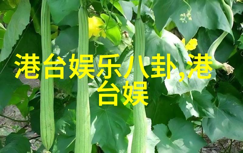 日本综艺节目我在这里给你介绍一个超级火的节目