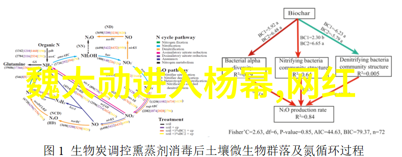 崛起之华夏我亲眼见证的中华民族伟大复兴