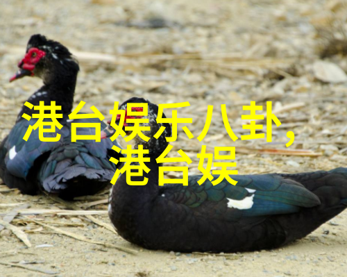 画中有景字里藏意手稿与书法中的写真艺术