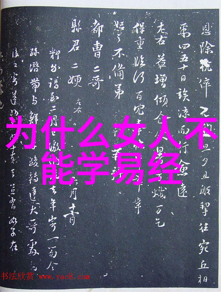 日本成人综艺中的文化象征与社会反映研究