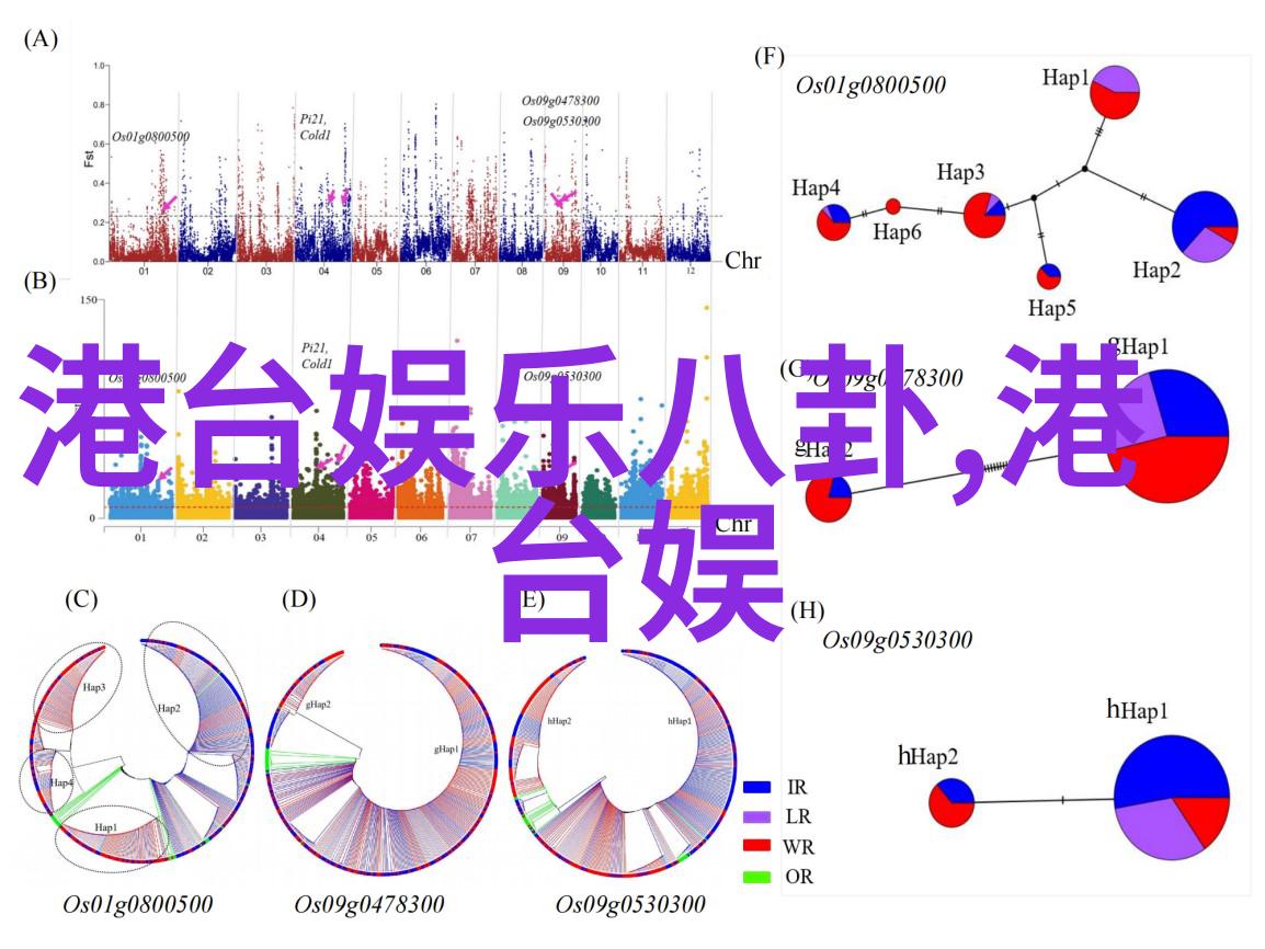 综艺大观探秘林更新杜海涛上线自然风光中掀起笑点狂欢