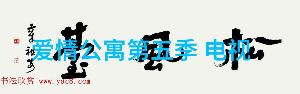 正大综艺盛宴探索文化多元的魅力