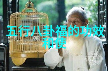 娘道的背景设定和历史元素又是怎样融入到故事情节中的呢