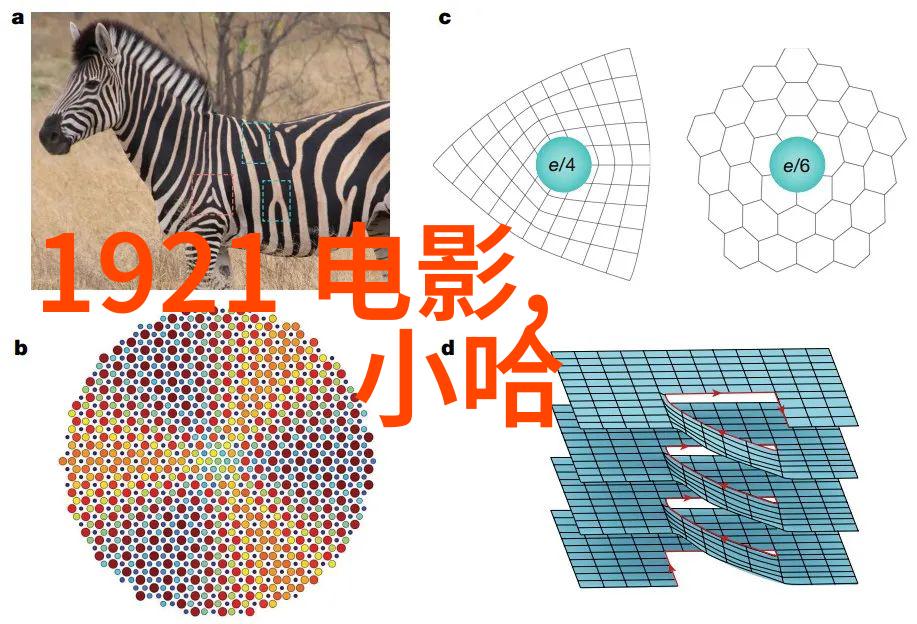 情感纠葛命运交错探索天地姻缘人物关系网