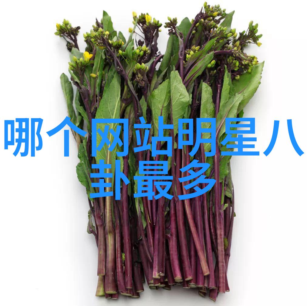 李九霄《独家记忆》春节热播