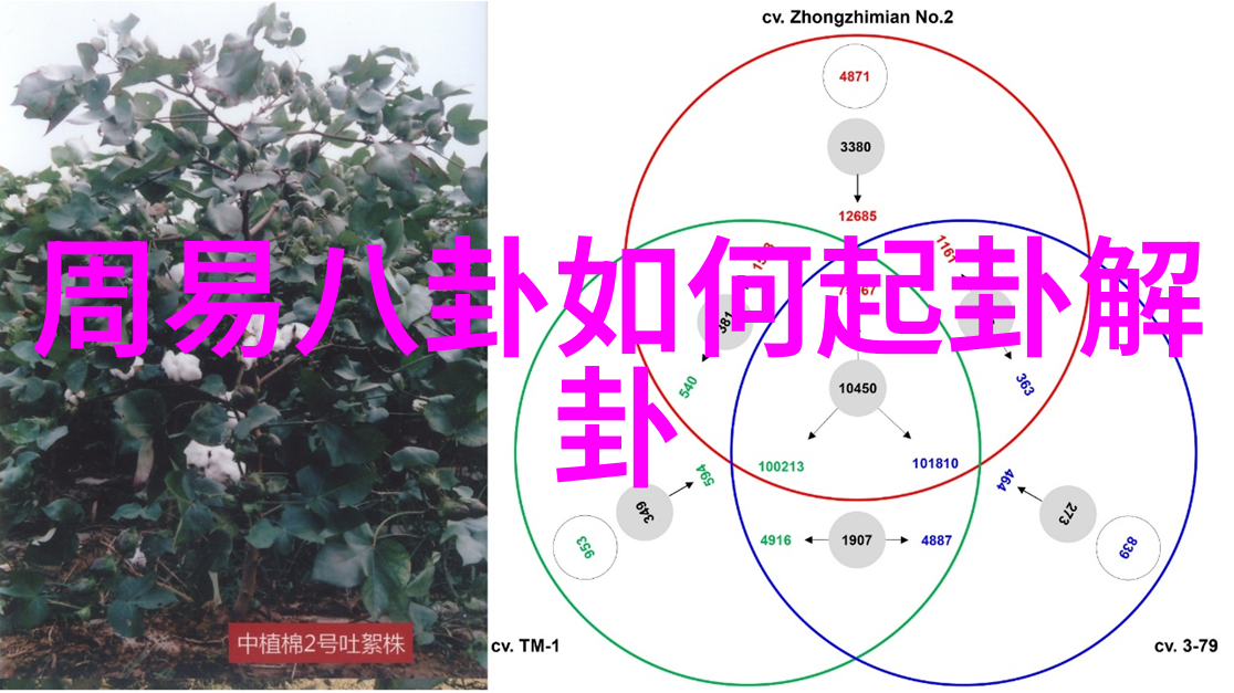 无心法师2 电视剧别让那些眼泪和笑声在我这里白白流走