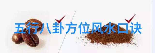 综艺风暴中的意外爆红