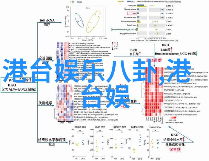 主题-璀璨光彩精选世界各地最美大图集