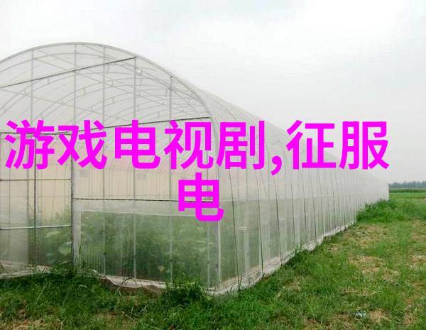 宋轶登场了洛阳体验文化讲师 河灯许愿致敬洛阳文化