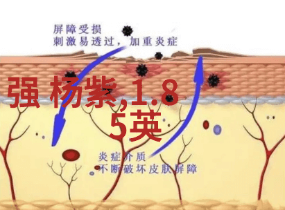 探索色情电影的边界与文化影响