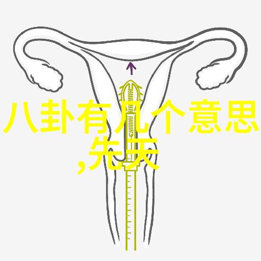 直播界的开放度之争哪些平台让观众最为放松