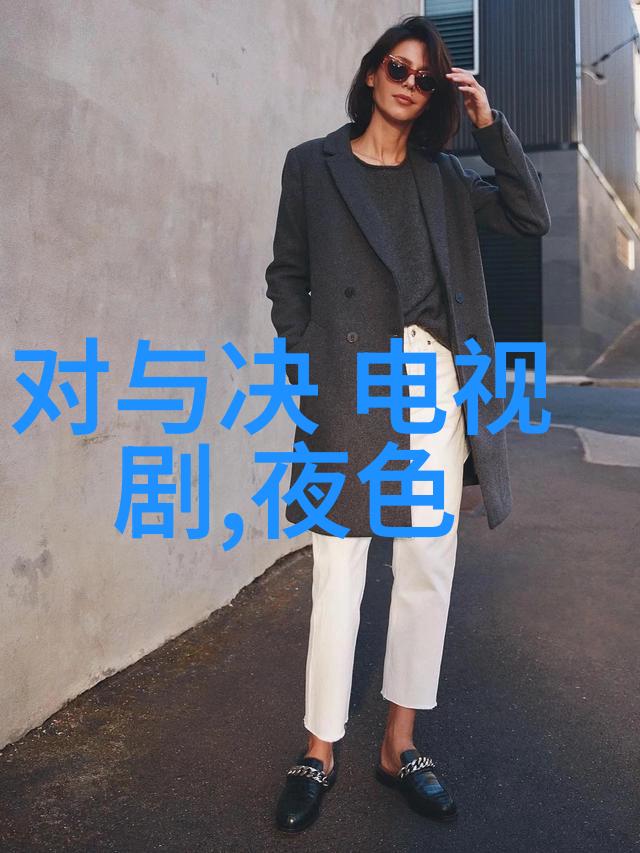 家有儿女新传温馨家庭的新篇章与挑战