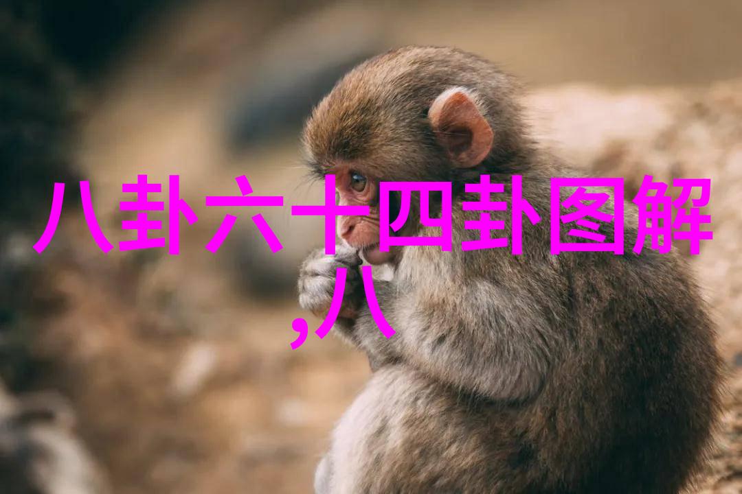 解锁神秘奇门遁甲入门知识指南