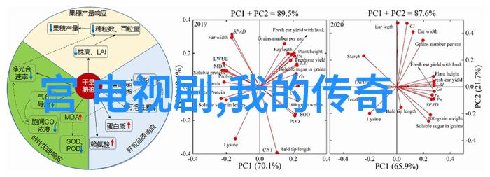 千龙娱乐引领游戏风潮的数字平台