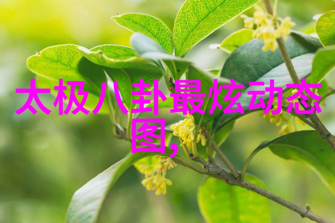 古装电视剧新作推荐华丽宫廷历史奇缘美术章