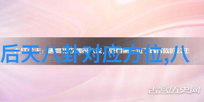 机场抢歌迷相机 东方神起对歌迷动粗遭炮轰