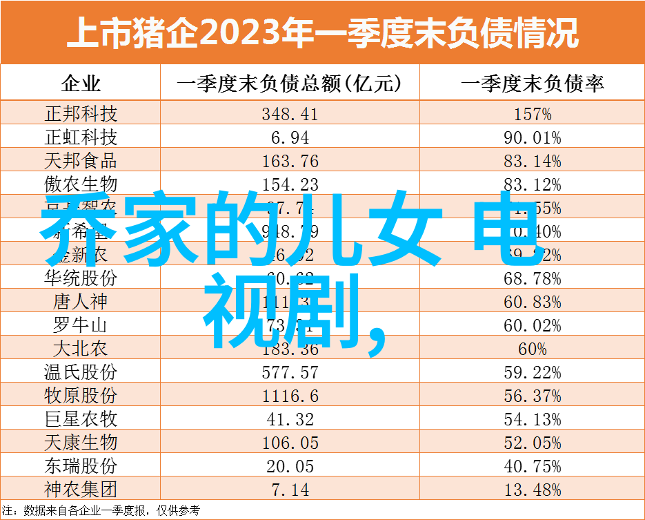 我是雪犁网红亦是我一切问题的根源