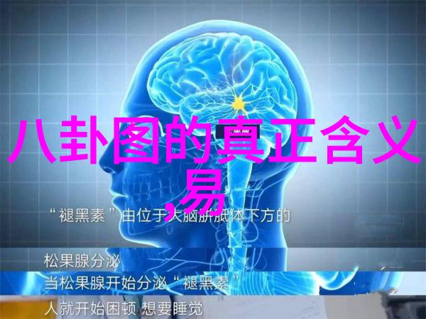 综艺大哥大我是你心中的那位无所不能的综艺大哥大