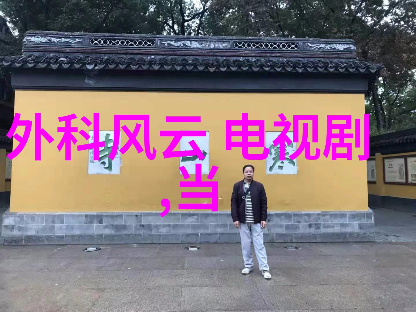 迫的爱人电影浪漫告白