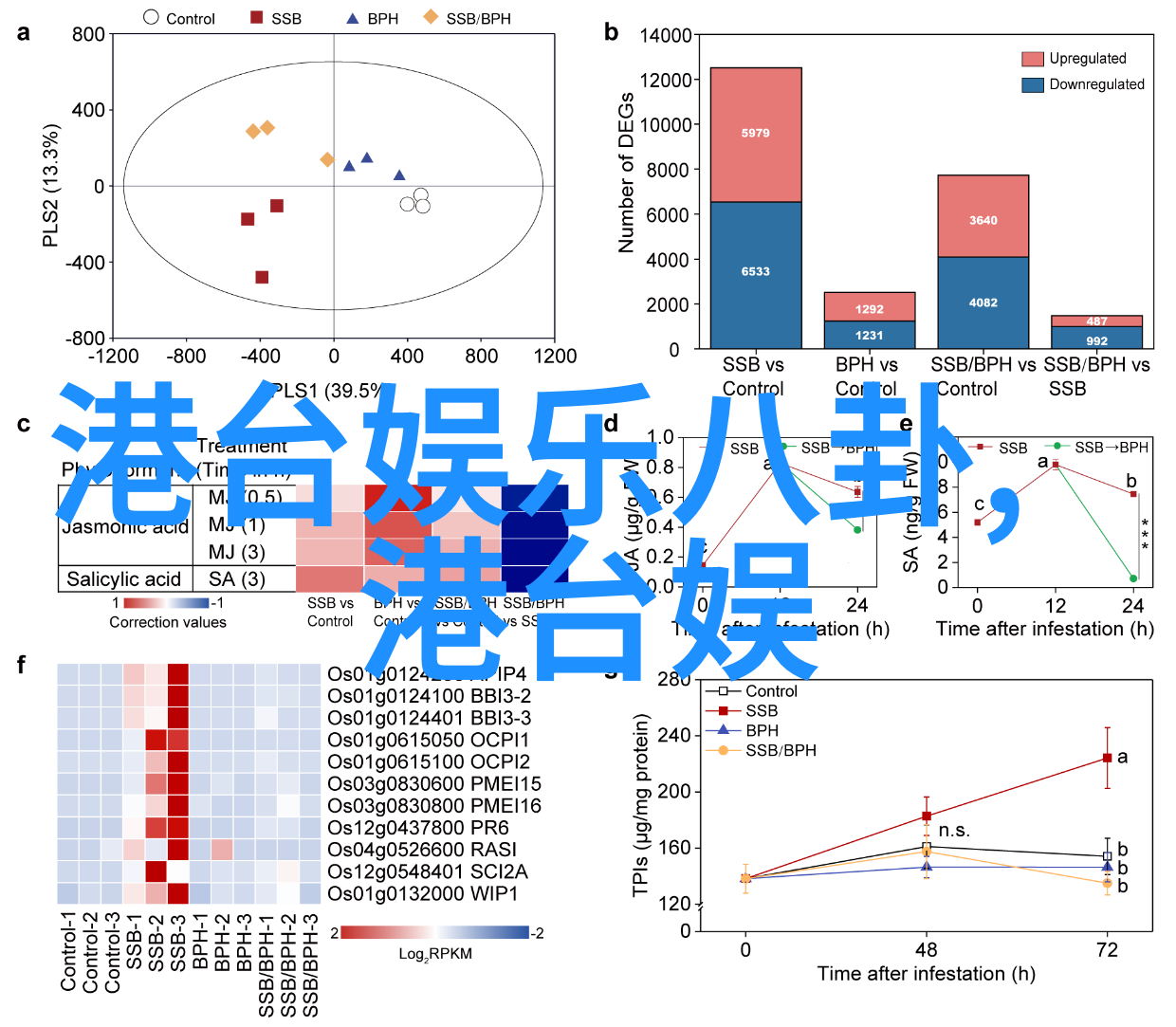 想象一下在一个未来的社会中所有的人都将其最宝贵的礼物赠送于地球母亲这个节日应该被称作什么名字并且应该