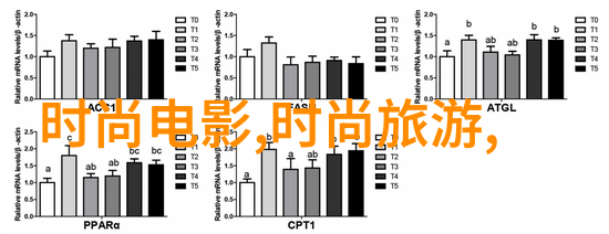 星光闪耀的虚拟世界明星网如何改变娱乐体验