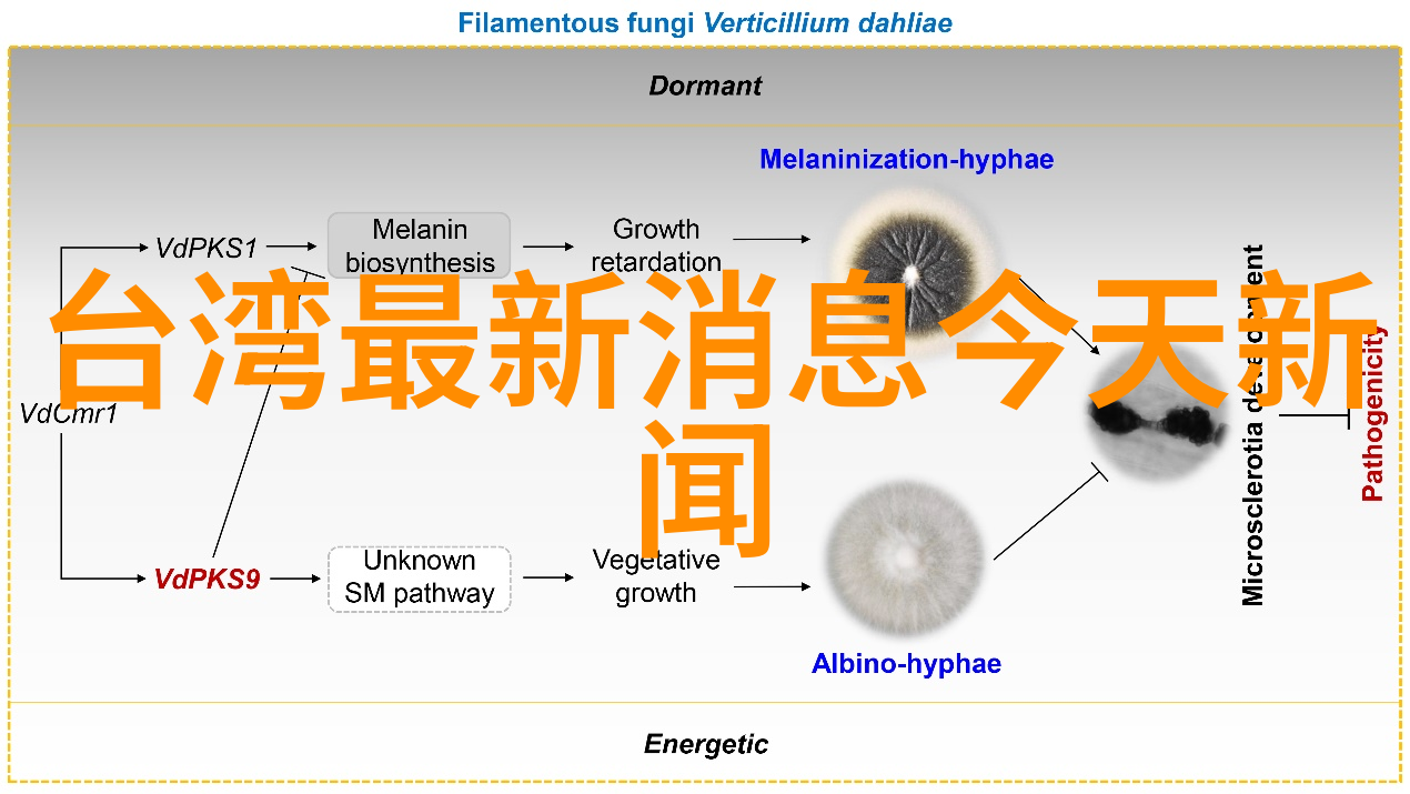 娱乐头条俄方宣布准备介入全球粮食问题解决方案