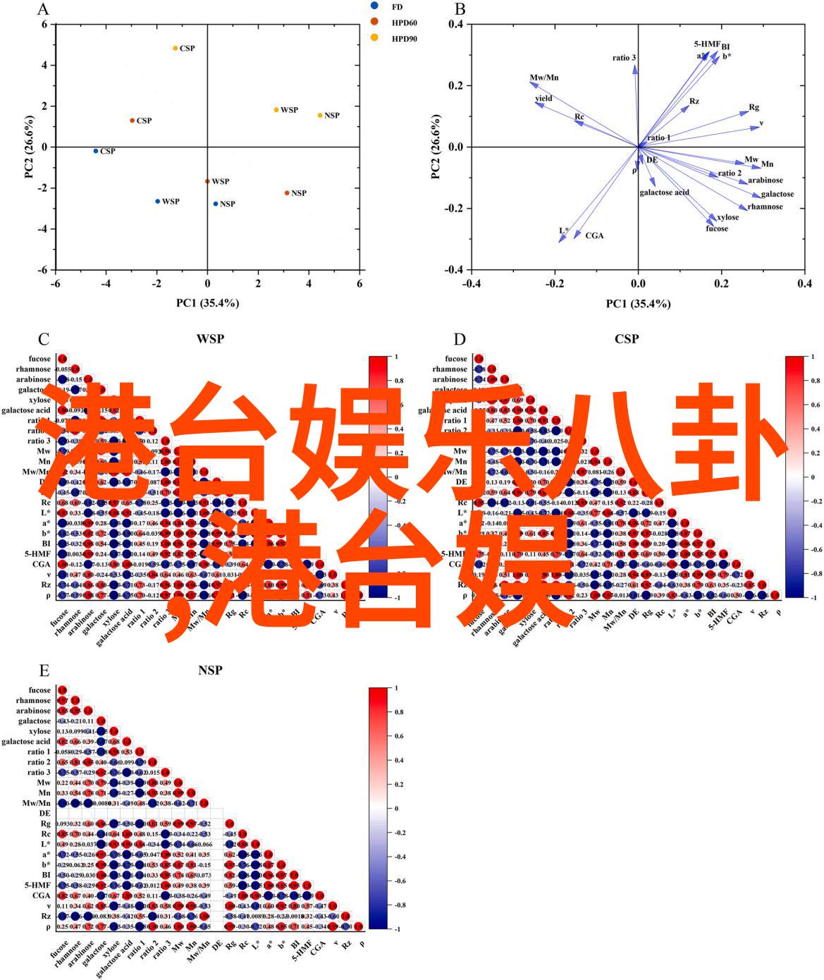 亿万富少与明星情缘王思聪的雪梨梦