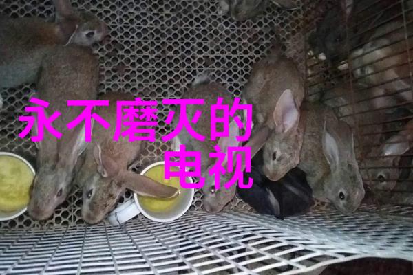 醇男杨烁笑容灿烂 阳光爽朗感染力足