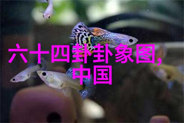 妻子的浪漫旅行刘涛我现在的偶像是谢娜登上微博热搜是怎么回事台湾综艺中的人气明星也能这样火吗