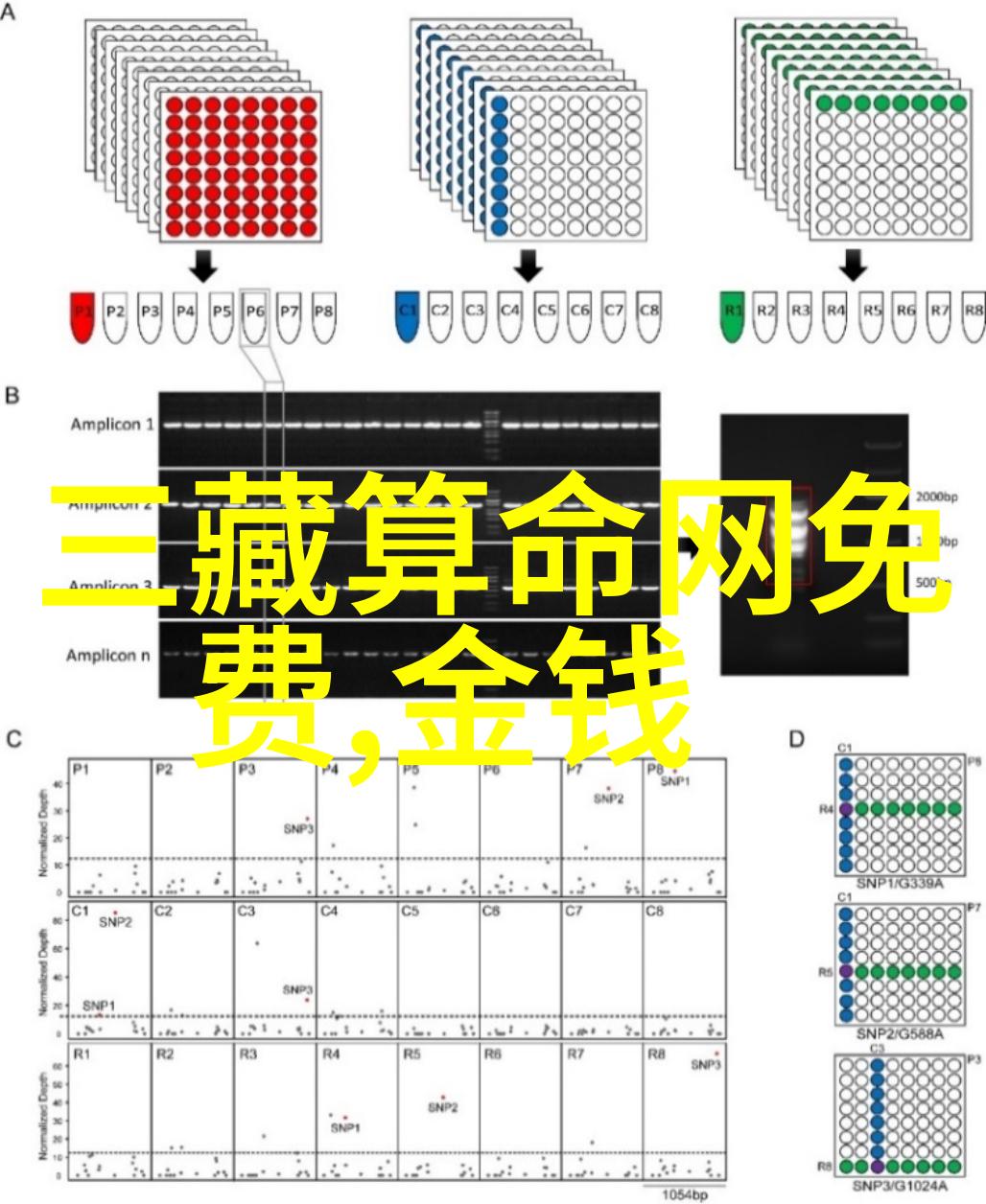 贺朝跳d引爆谢俞社交圈头条风波