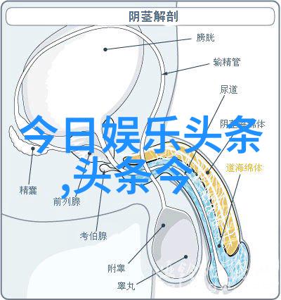 台湾刚刚突然宣布终止对大陆的出口检疫措施引发两岸贸易和旅游业新动向