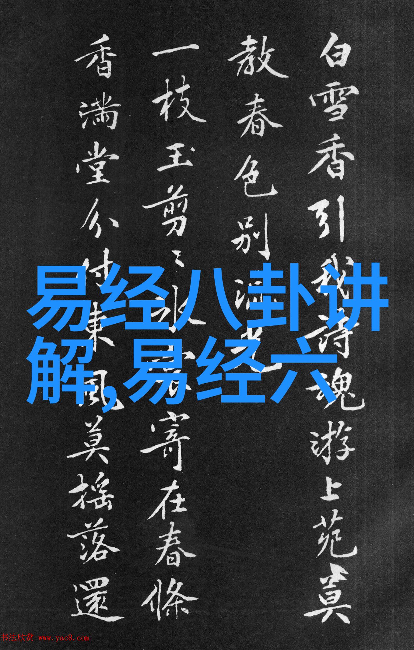 今日头条下载从新闻狂人到数据孤狼的奇妙征程