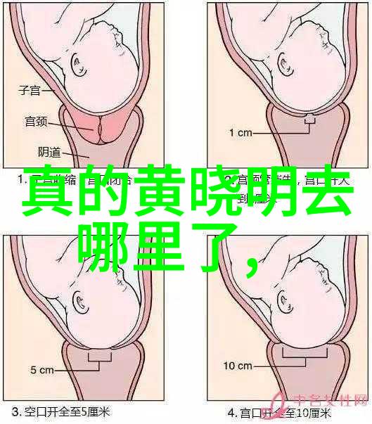 在数字云端中寻找真实照片编辑技巧分享