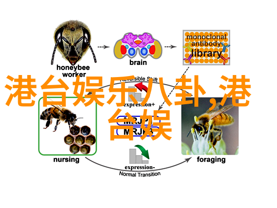 三米影视-追逐梦想的脚步三米影视创业故事与发展探究