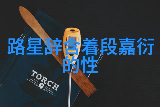 综艺玩很大笑声与挑战交织的奇妙旅程