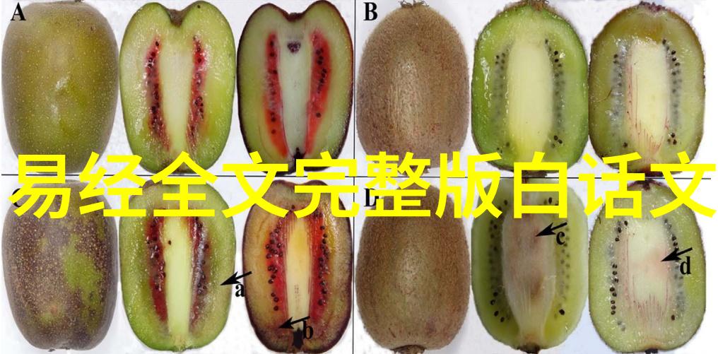 爱情保卫战综艺盛宴中的恋爱大冒险