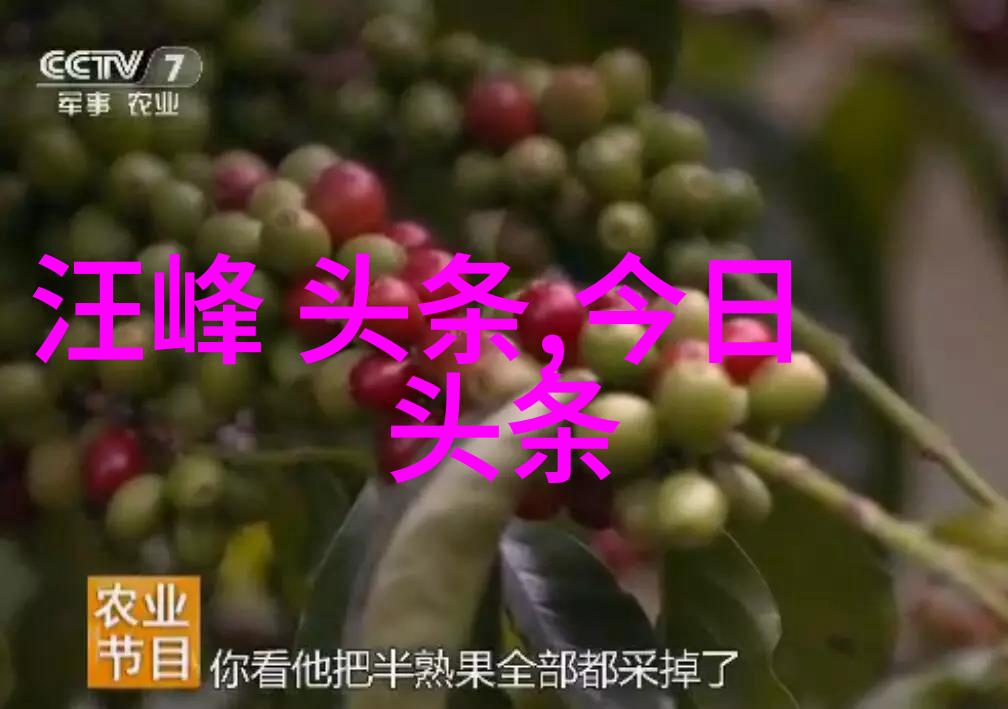 爱情泡泡糖全集我和它的那些甜蜜冒险从初恋到终老