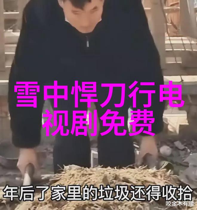 同家共梦揭秘笔趣阁的无弹窗阅读奇迹