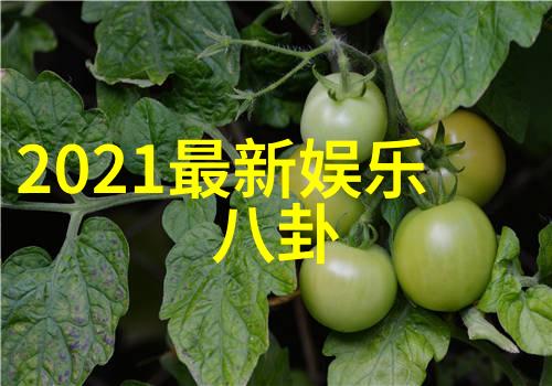 影视工厂-幕后巨流星揭秘影视工业的创意与机器