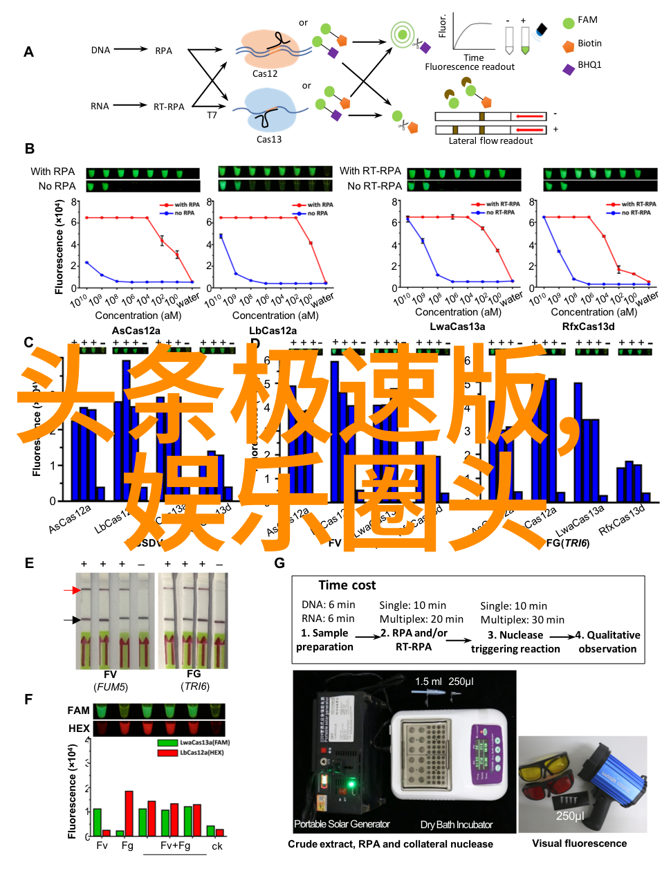 时尚女神的魅力时尚女人的美丽魅力